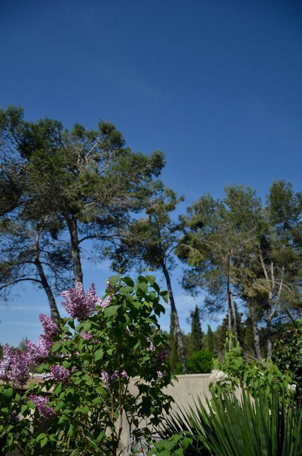 Mas Du Puech Cymbale Villa Assas Exterior photo